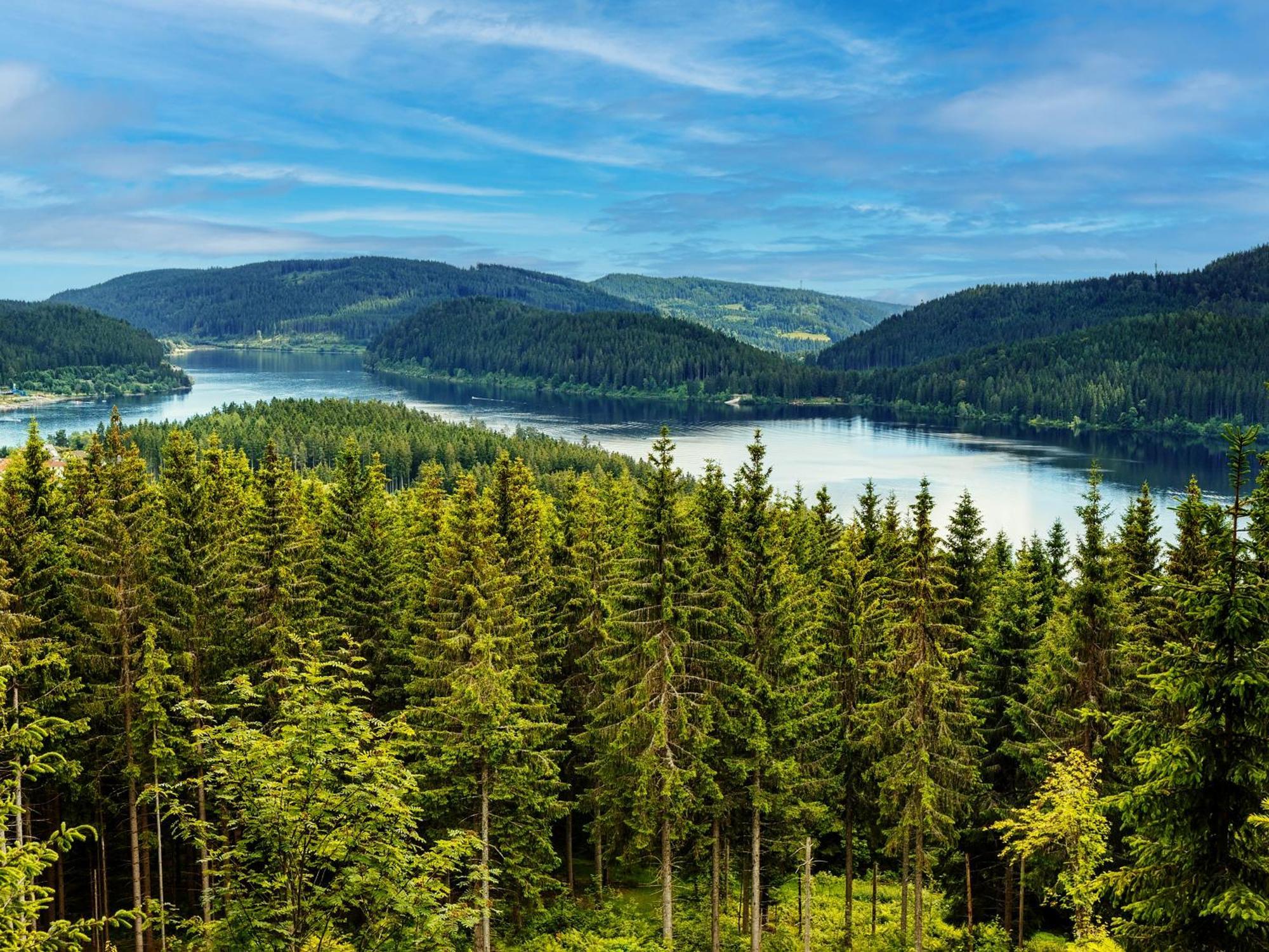 Black Forest Luxury Apartment Baerenhoehle Mit Sauna Schluchsee Exterior foto