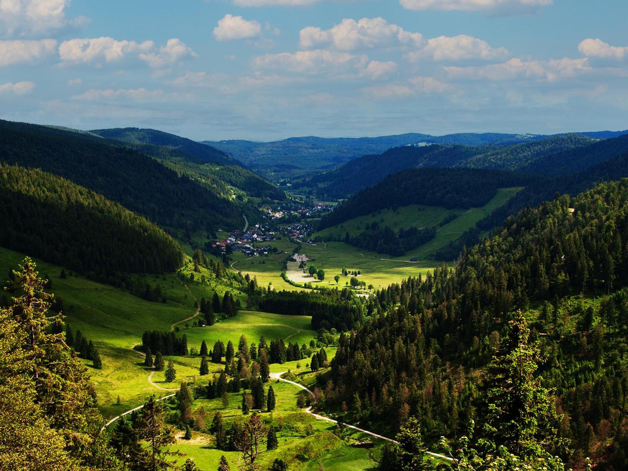 Black Forest Luxury Apartment Baerenhoehle Mit Sauna Schluchsee Exterior foto