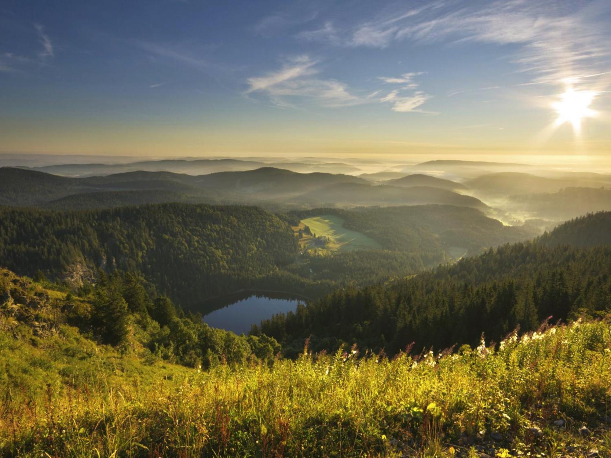 Black Forest Luxury Apartment Baerenhoehle Mit Sauna Schluchsee Exterior foto