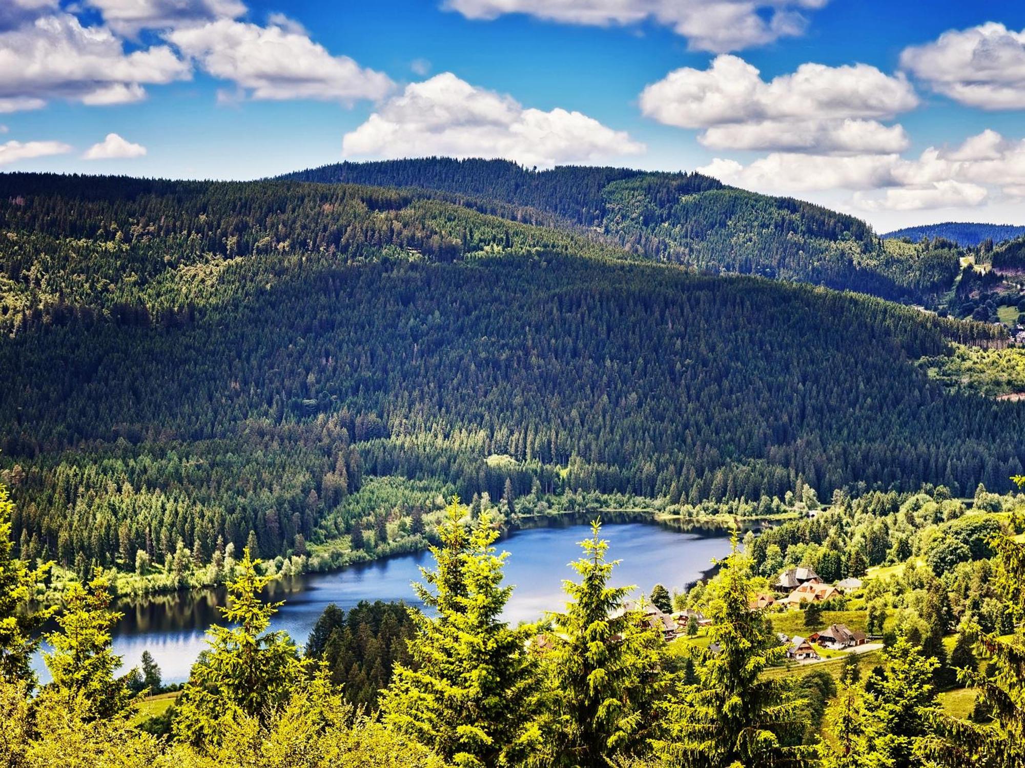 Black Forest Luxury Apartment Baerenhoehle Mit Sauna Schluchsee Exterior foto